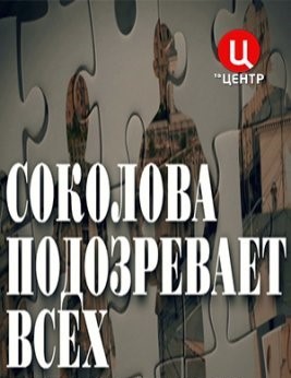 Постер Соколова подозревает всех (2022)