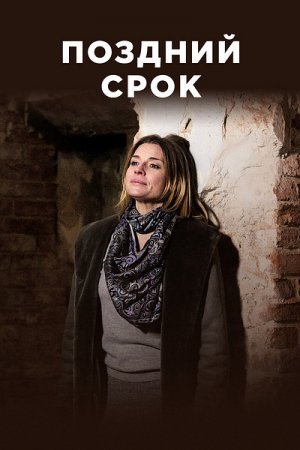 Постер cериала Поздний срок (2020)