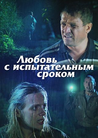 Постер Любовь с испытательным сроком (2013)