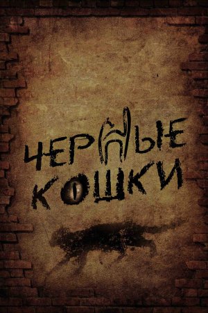 Постер cериала Черные кошки (2013)