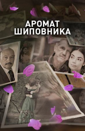 Постер Аромат шиповника (2014)