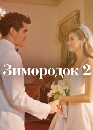 Постер cериала Зимородок 2 сезон (2024)