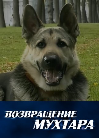 Постер cериала Возвращение Мухтара (2003)