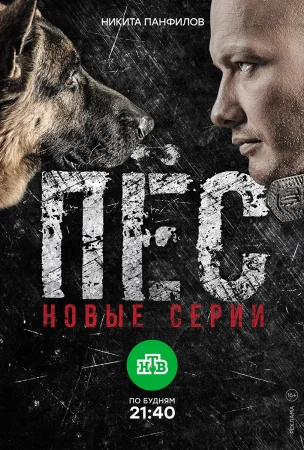 Постер cериала Пёс 3 сезон (2017)