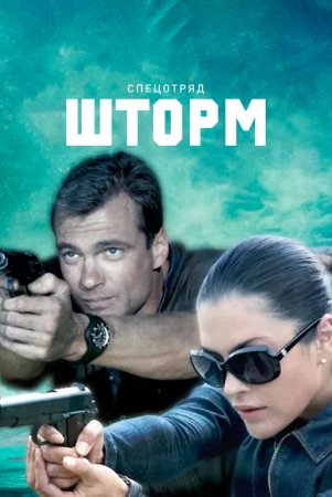 Постер cериала Спецотряд Шторм (2013)