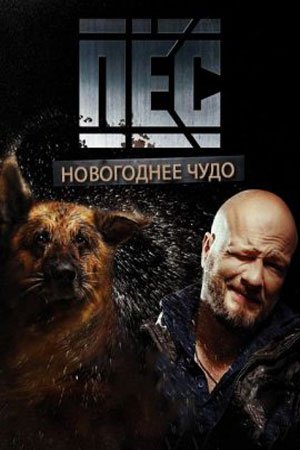 Постер cериала Новогодний Пёс (2018)